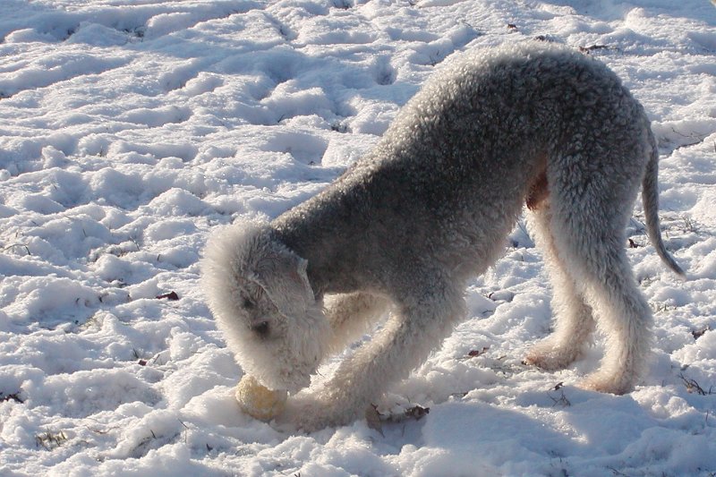 2009-12-19 Quincy (8).JPG